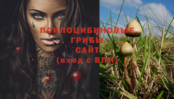 дмт Абаза