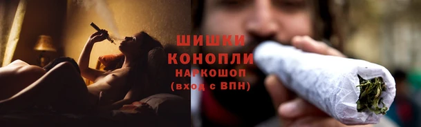 дмт Абаза