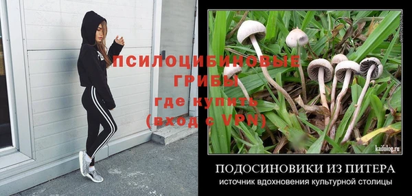 сатива Абдулино