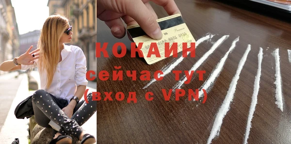 mdpv Заводоуковск