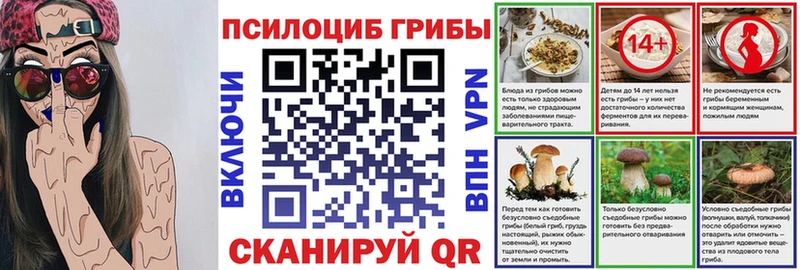 где купить наркоту  Аксай  Псилоцибиновые грибы мицелий 
